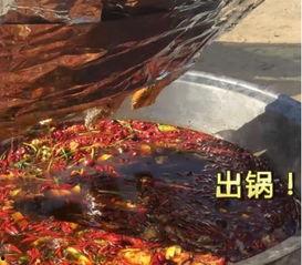 清华大学才女 吃瓜,揭秘清华大学才女“吃瓜”背后的故事