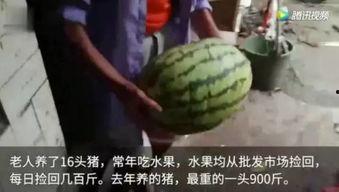 去年的瓜今年还在吃,回味无穷的年度美食盛宴