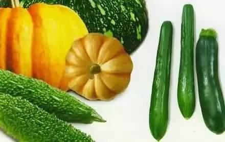 夏日吃瓜热量表,夏日吃瓜热量大盘点