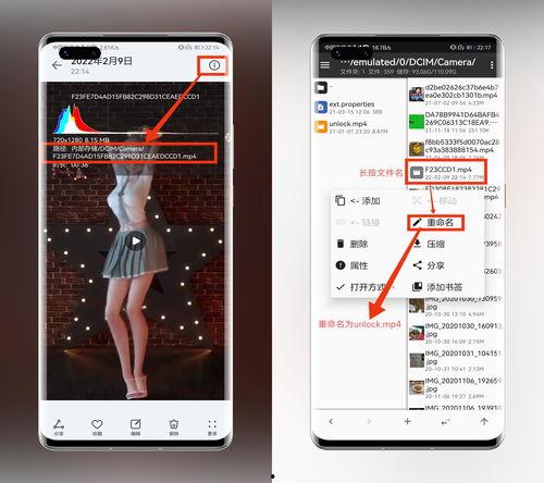 头条怎么添加动态壁纸,头条教你一招