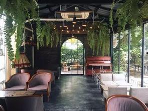 河西咖啡网红店有哪些,品味潮流的香醇时光