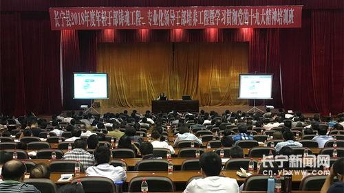 西南财大教授的头条,揭秘经济转型中的关键问题与对策