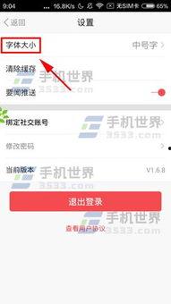新闻头条字体如何调大小,轻松掌控阅读体验