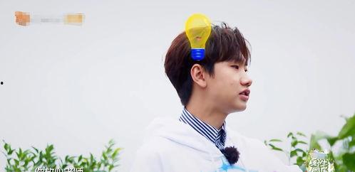 明星没本事,揭秘没本事的真相